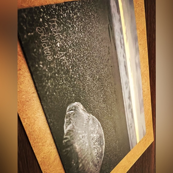 Magnetic Art Jellyfish 4โ x 5.5โ - Picture 1 of 4